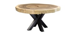 Tafel rond Suarhout - XX Poot